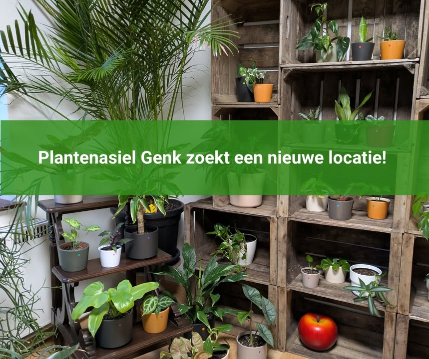 Plantenasiel Genk