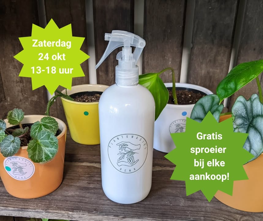 Plantenasiel Genk