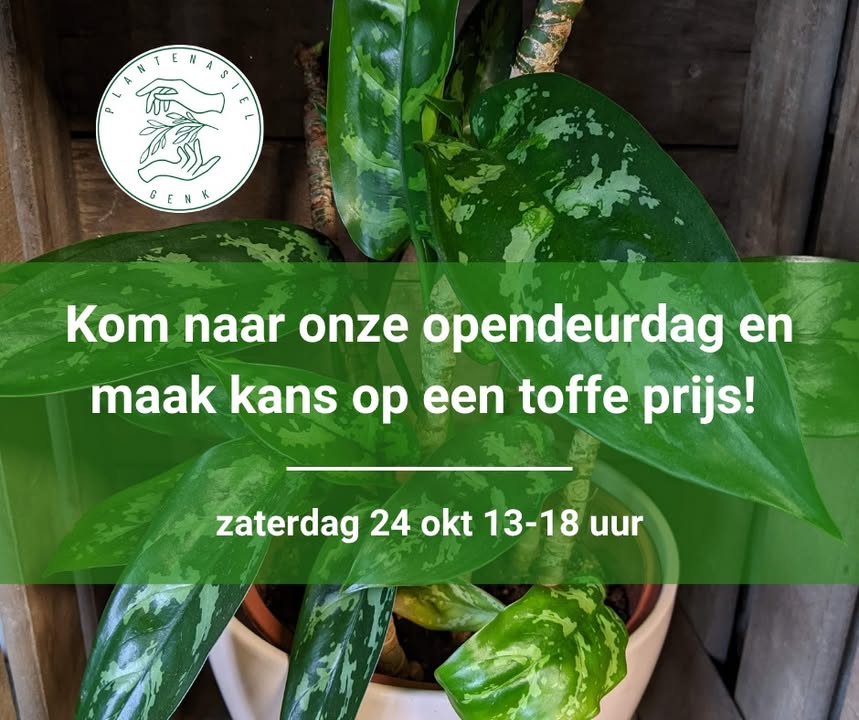 Plantenasiel Genk